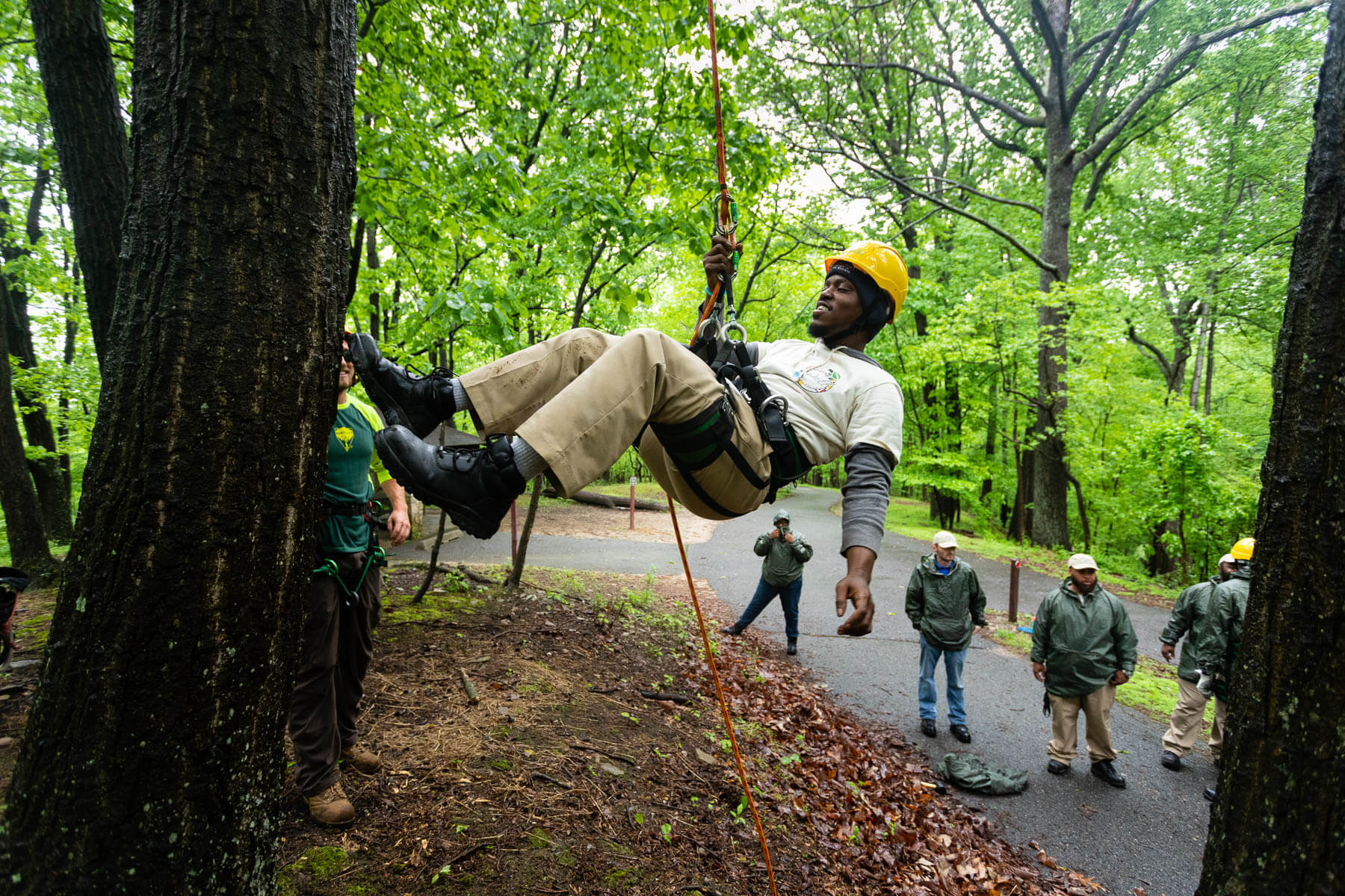 Tree climbing. Арборист.